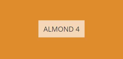 almond-4-imagine
