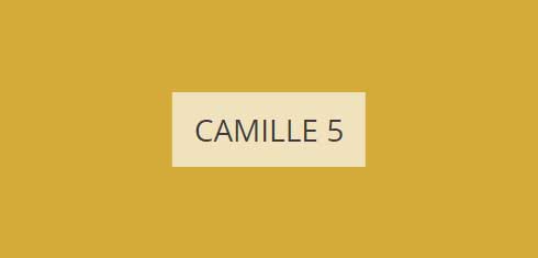 camille-5-imagine