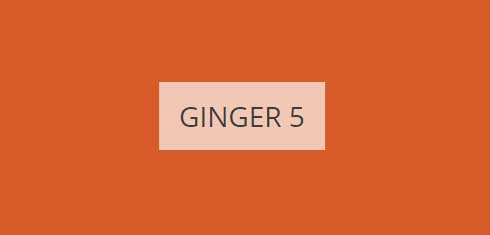 ginger-5-imagine