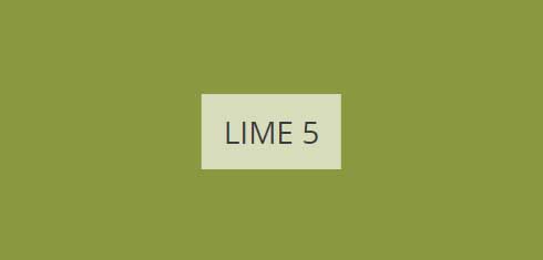 lime-5-imagine