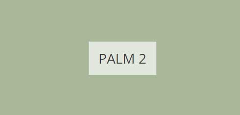 palm-2-imagine