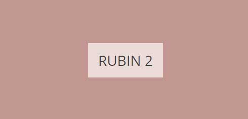 rubin-2-imagine