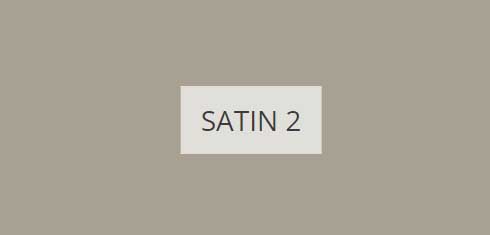 satin-2-imagine