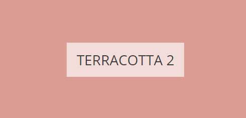 terracotta-2-imagine