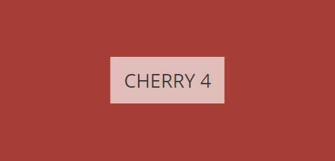 cherry-4-imagine
