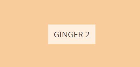 ginger-2-imagine