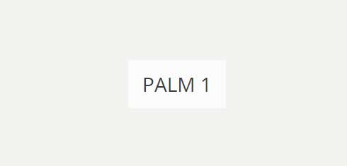 palm-1-imagine
