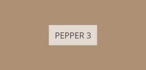 pepper-3-imagine