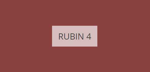 rubin-4-imagine